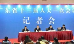 湛江今日大爆料,热点事件盘点与深度解读